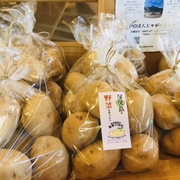 お野菜に目印のシールが付きます!