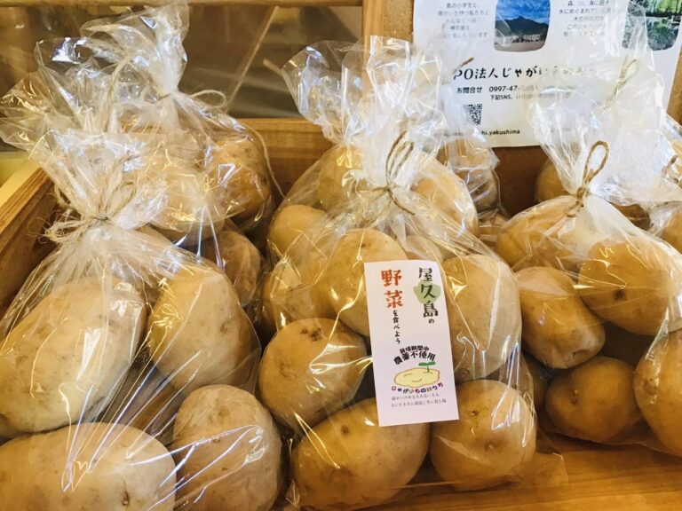 お野菜に目印のシールが付きます!