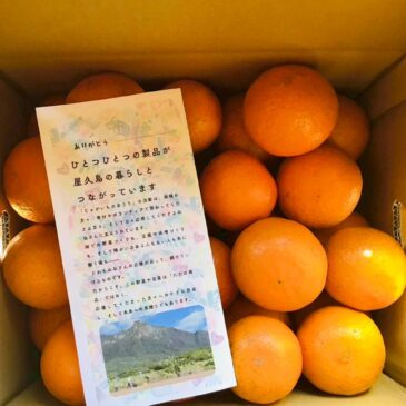 ＼オンラインストアOPEN！／